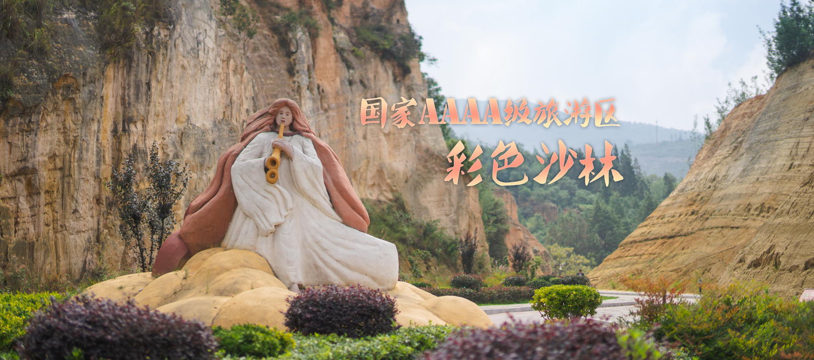 1679886139191135.jpg 沙林_调整大小.jpg